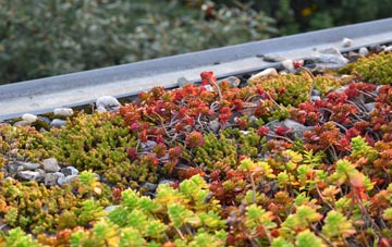 the cost of Barton In Fabis green roof installation
