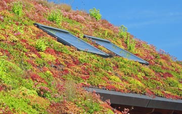 Barton In Fabis living roof systems