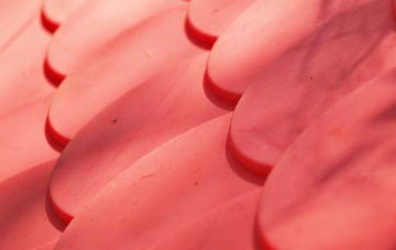 Barton In Fabis plastic roof costs