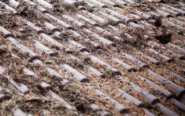 Barton In Fabis roof cleaning companies