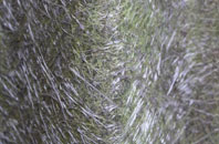 Barton In Fabis fibreglass roof work